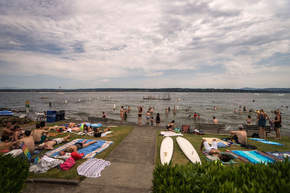 a beach full of swimmers, paddle boards, and sun bathers